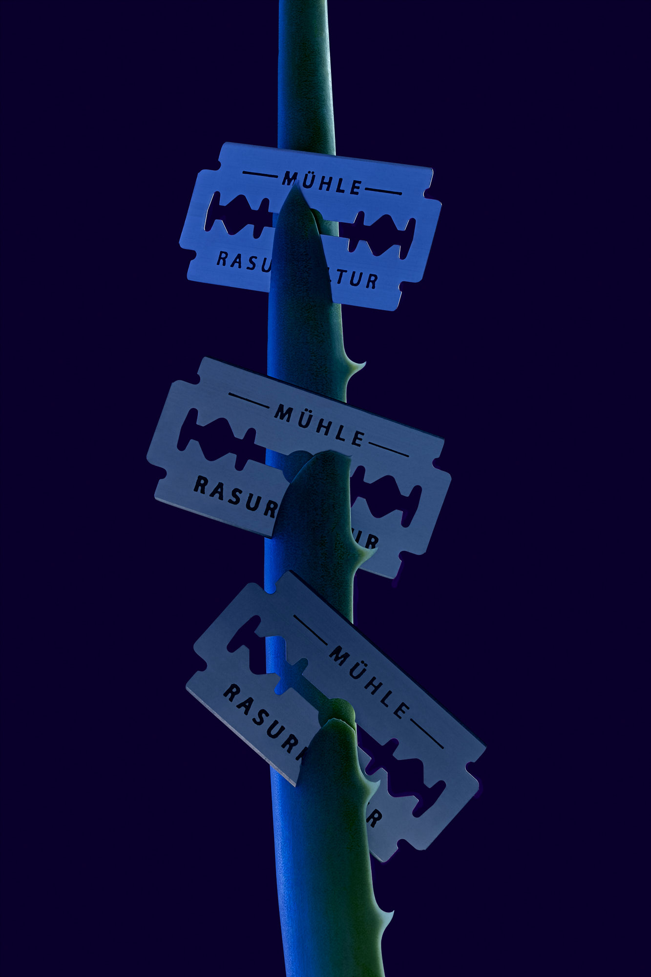 MÜHLE Rasurkultur