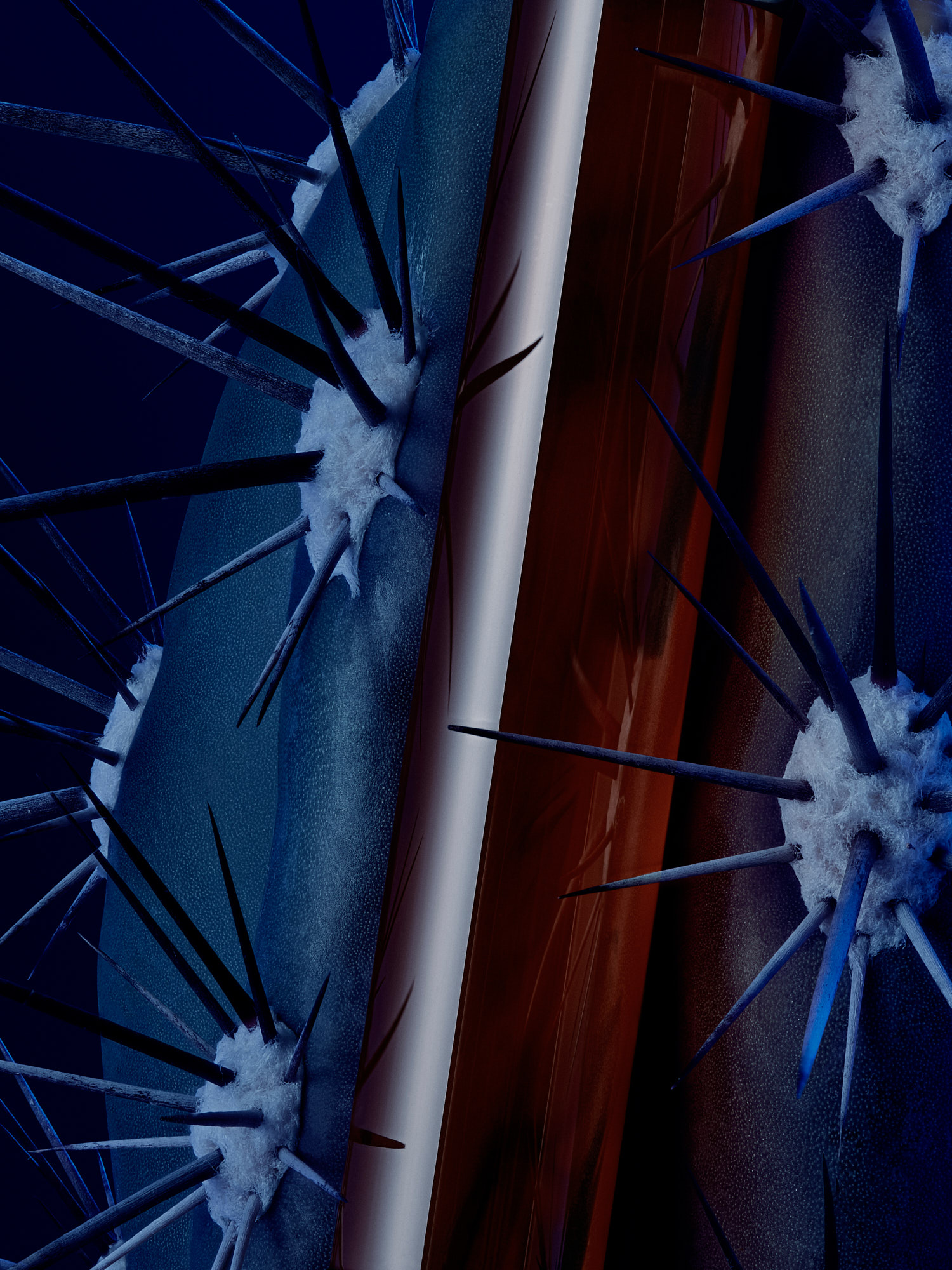 M&Uuml;HLE Rasurkultur