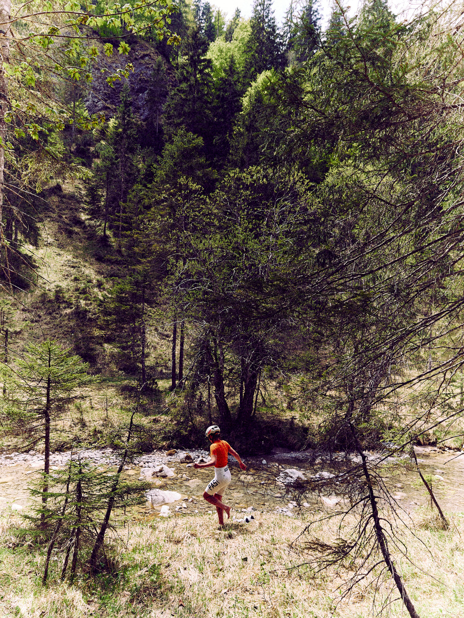 Orange State